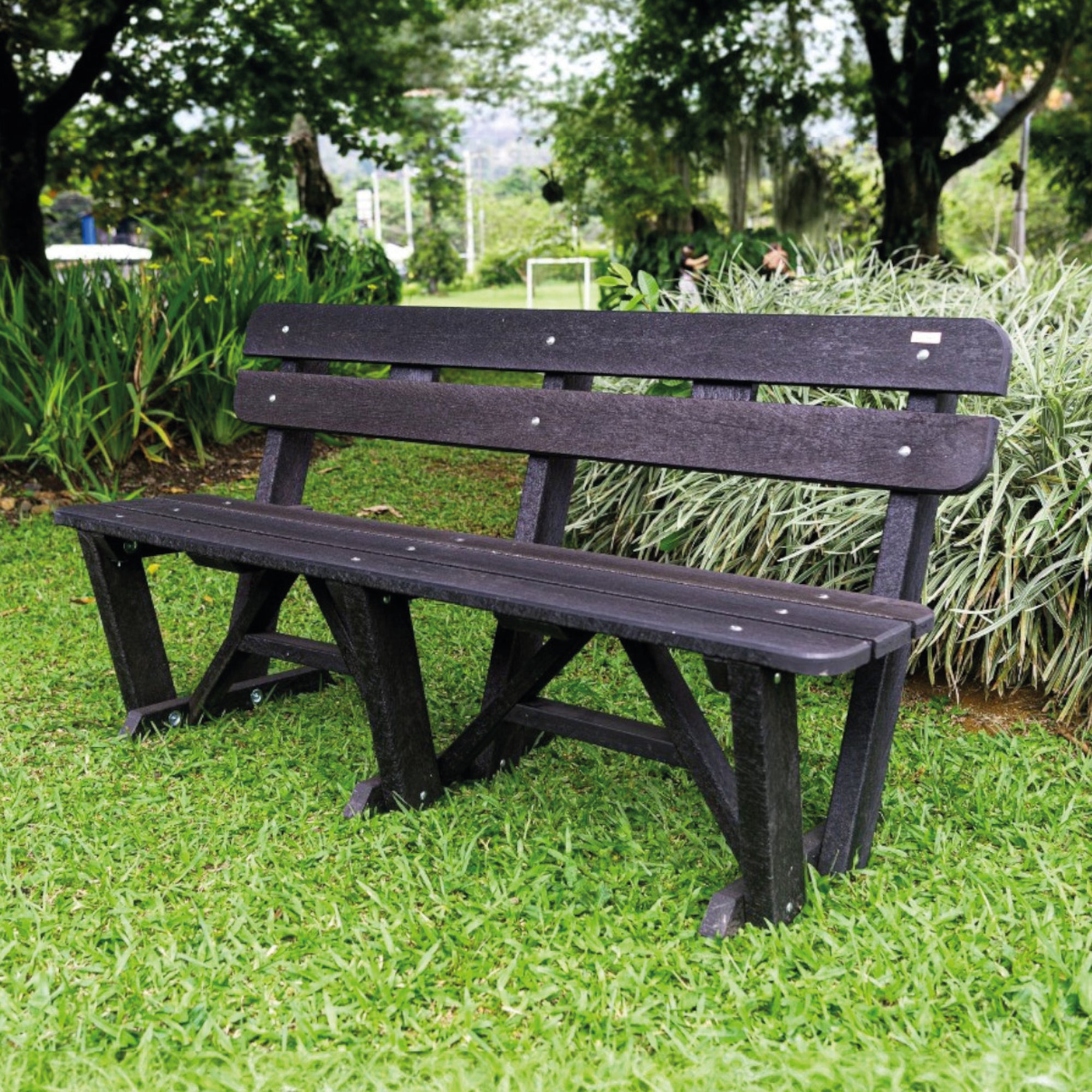 Banca Parque Begonia